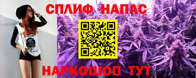 скорость Дубна