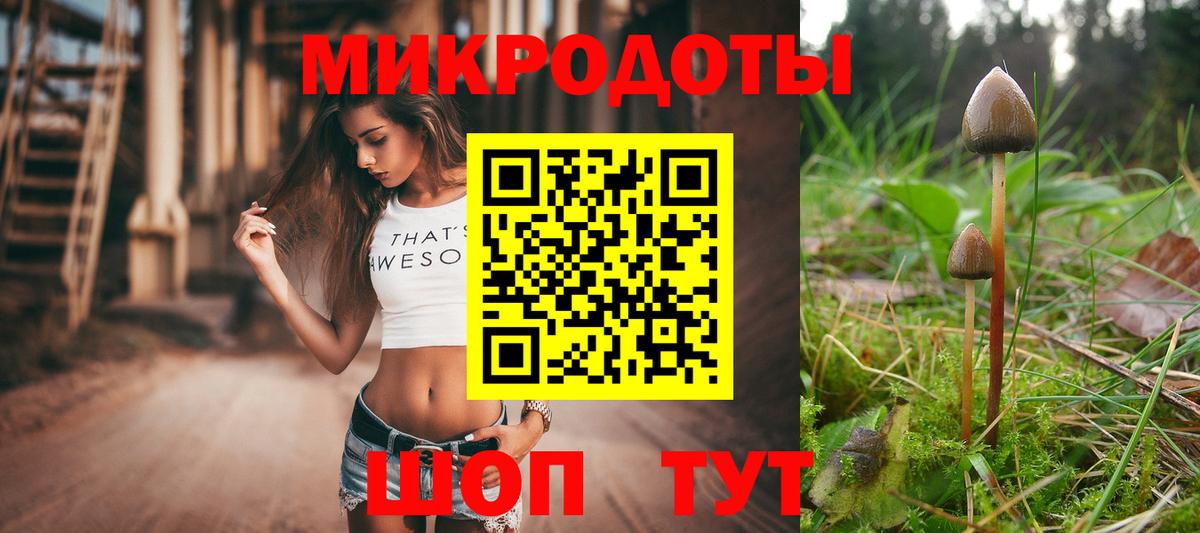 Орск  Галлюциногенные грибы GOLDEN TEACHER  Галлюциногенные грибы Cubensis  Вход с VPN 